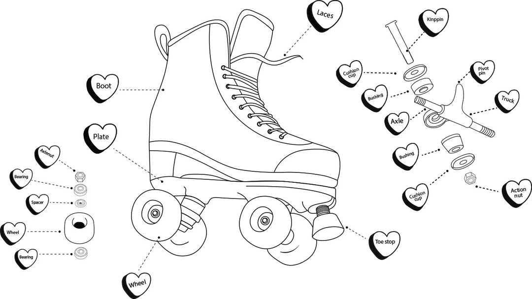 Anatomy of a roller skate