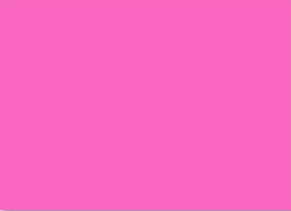 Suregrip #100 Toe Stop Pair